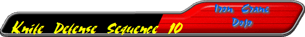 Knife Defense Sequence 10