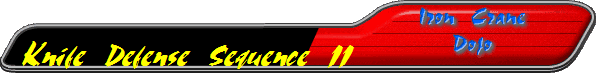 Knife Defense Sequence 11