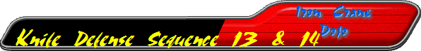 Knife Defense Sequence 13 & 14