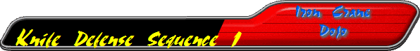 Knife Defense Sequence 1