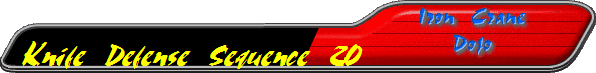 Knife Defense Sequence 20