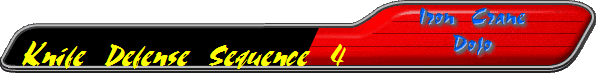 Knife Defense Sequence 4