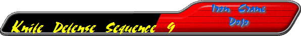 Knife Defense Sequence 9
