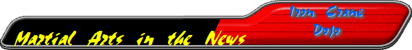 Martial Arts in the News