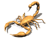 Mantis (side view)